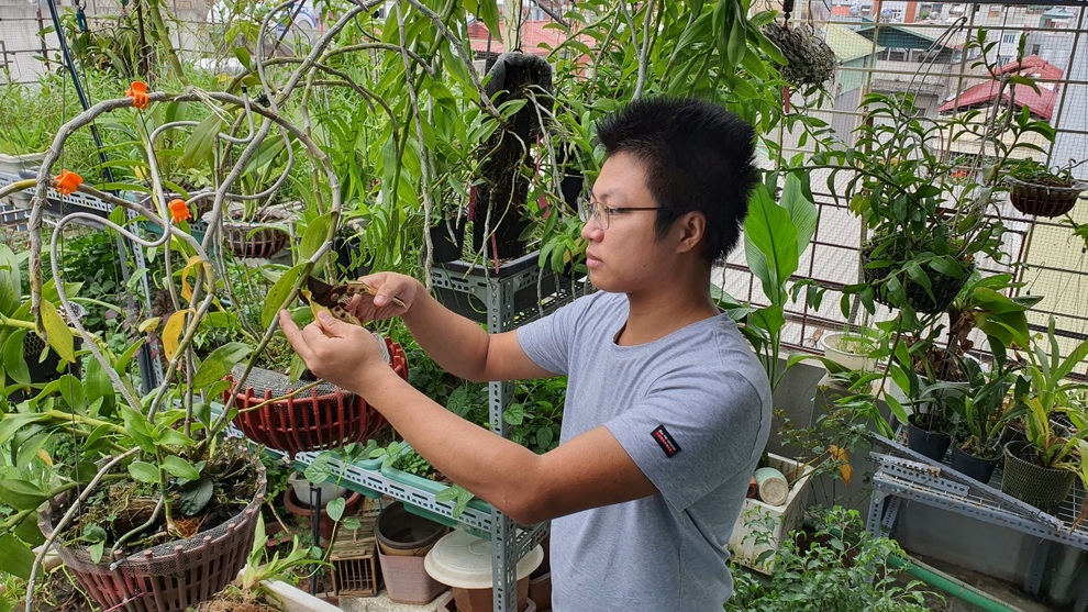 Kỹ sư làm vườn sân thượng xanh mướt, rộn ràng tiếng chim giữa lòng Thủ đô - 7 Kỹ sư làm vườn sân thượng xanh mướt, rộn ràng tiếng chim giữa lòng Thủ đô - 7