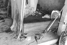 Chú ruột nghi trầm cảm, cầm dao chém cháu trai 12 tuổi trọng thương