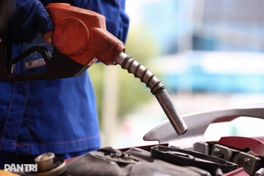 TPHCM kiểm tra, giám sát chất lượng xăng sinh học E10