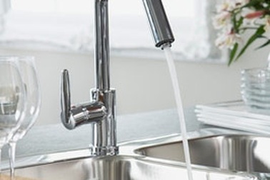 Phòng dịch cúm gia cầm từ nhà bếp