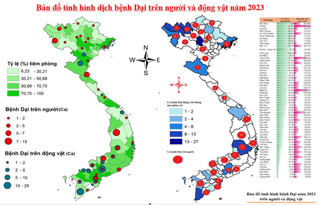 Người Việt chết vì bệnh dại nhiều nhất thế giới, chó mèo vẫn thả rông - 2