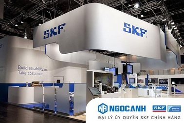SKF Ngọc Anh: Thương hiệu lớn, thách thức lớn