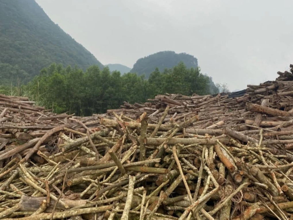 Bãi rác án ngữ đường dân sinh, người dân kêu cứu - 2 Bãi rác án ngữ đường dân sinh, người dân kêu cứu - 2