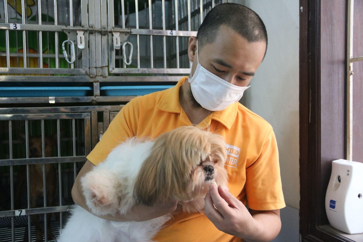 Nhà giàu Việt thuê khách sạn sang chảnh, có cả vệ sĩ cho thú cưng ngày Tết - 4 Nhà giàu Việt thuê khách sạn sang chảnh, có cả vệ sĩ cho thú cưng ngày Tết - 4