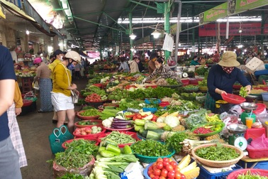 Ngăn chặn tình trạng chăn dắt người khuyết tật bán hàng, xin ăn biến tướng