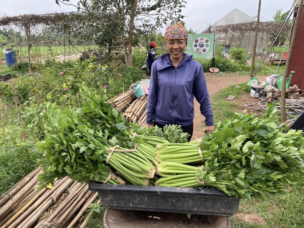 Vợ chồng tiến sỹ về quê làm nông dân, bán 5 tấn nông sản/tháng - 9