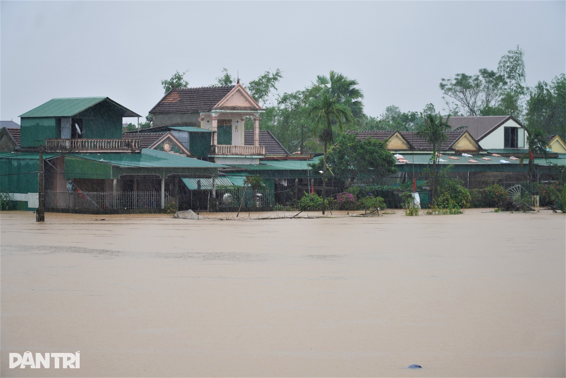 Mưa không ngớt, người dân Hà Tĩnh đưa vật nuôi, ô tô lên đê tránh lũ - 2 Mưa không ngớt, người dân Hà Tĩnh đưa vật nuôi, ô tô lên đê tránh lũ - 2