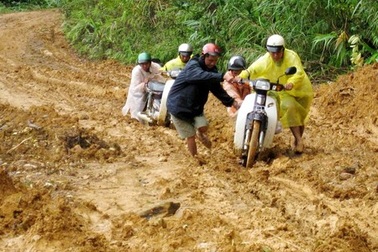 Quảng Nam xin hỗ trợ 1.500 tấn gạo trong mùa mưa bão