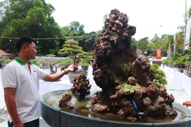 Chiêm ngưỡng hòn non bộ được ghép từ đá ruby có giá gần 2 tỷ đồng