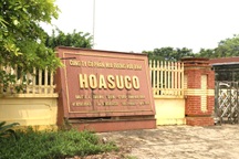 Đóng cửa nhà máy mía đường "nợ như chúa chổm"