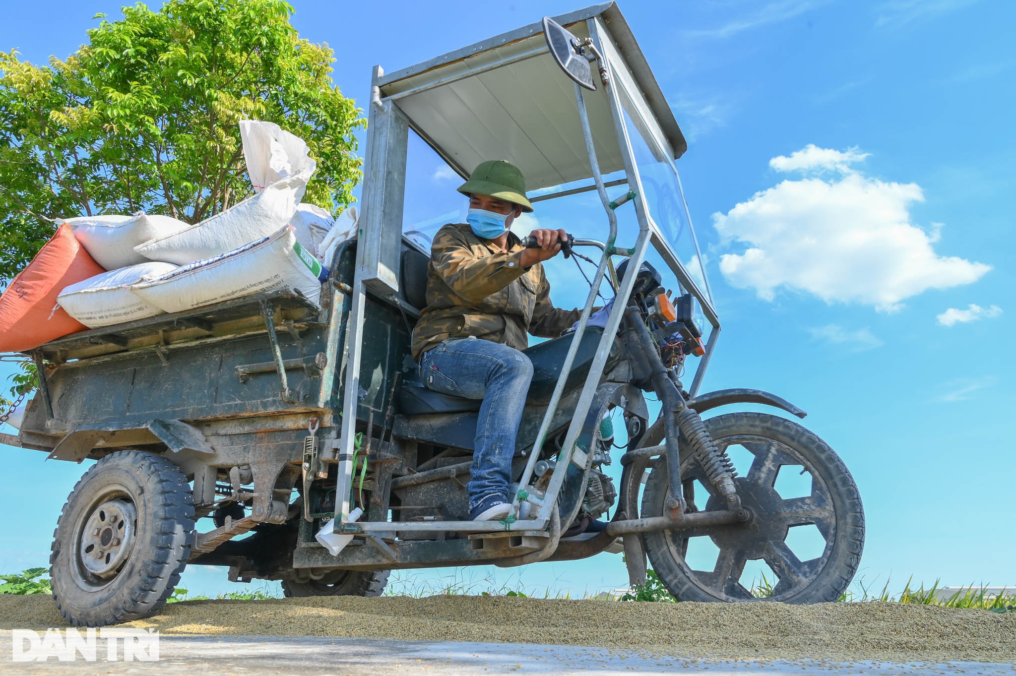 Tâm dịch Bắc Ninh: Nông dân không ra đồng, lúa và hoa màu tự chất đầy nhà - 10 Tâm dịch Bắc Ninh: Nông dân không ra đồng, lúa và hoa màu tự chất đầy nhà - 10