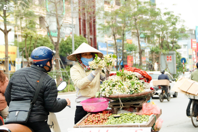 Hoa bưởi xuống phố, mang hương sắc về với tiết trời tháng Giêng đất Hà thành - Ảnh 9. Hoa bưởi xuống phố, mang hương sắc về với tiết trời tháng Giêng đất Hà thành - Ảnh 9.