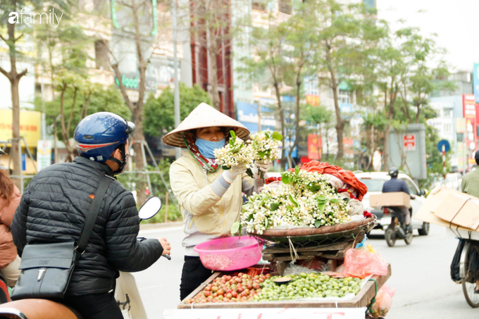 Hoa bưởi xuống phố, mang hương sắc về với tiết trời tháng Giêng đất Hà thành - Ảnh 9.