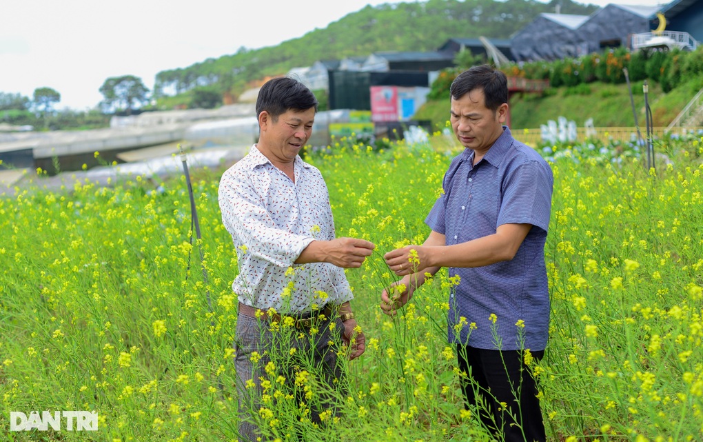 Chuyển mình ngoạn mục: Từ trồng hoa cắt cành đến mô hình du lịch canh nông trăm triệu