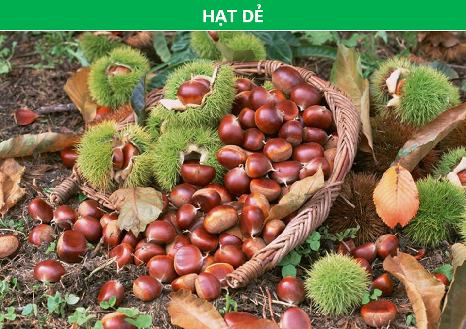 Cần biết: Kẻ thù tự nhiên của tế bào ung thư ở ngay cạnh chúng ta - 3 Cần biết: Kẻ thù tự nhiên của tế bào ung thư ở ngay cạnh chúng ta - 3
