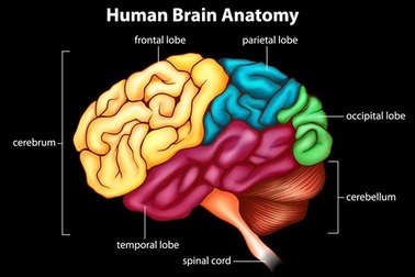 Vì sao một số người khó đưa ra quyết định trong cuộc sống hàng ngày?