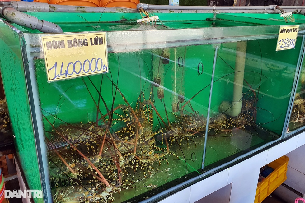 Luật ngầm chia hoa hồng cho tài xế: Nhà hàng chặt chém khách để bù lỗ? - 3 Luật ngầm chia hoa hồng cho tài xế: Nhà hàng chặt chém khách để bù lỗ? - 3