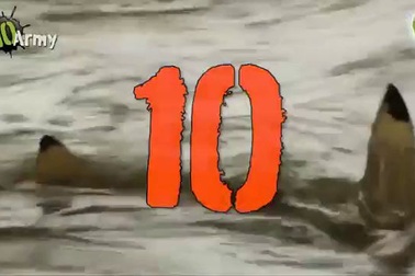 Top 10 loài động vật nguy hiểm nhất thế giới