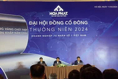 Tỷ phú Trần Đình Long chia sẻ tại ĐHCĐ Hòa Phát 2024