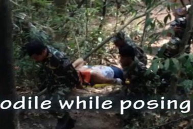 Du khách bị cá sấu cắn vì chụp ảnh tự sướng
