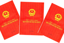 Giám đốc Văn phòng đăng ký đất đai ở An Giang tự tử