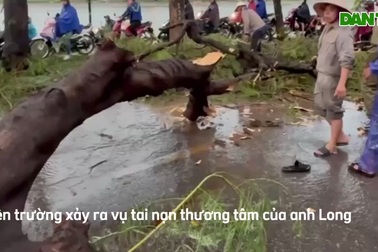 Bị cây cổ thụ đè liệt tứ chi, người đàn ông bật khóc khi biết cảm giác đau