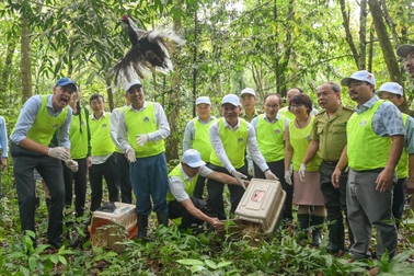 Sống hài hòa với thiên nhiên và phát triển bền vững