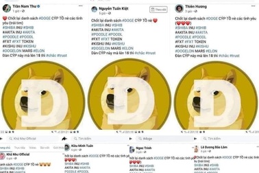 Ngọc Trinh, Nam Thư, Kiều Minh Tuấn... đăng bài về tiền mã hóa rồi xóa