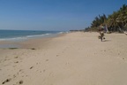Làm rõ thông tin du khách chóng mặt sau khi ăn hải sản ở Mũi Né