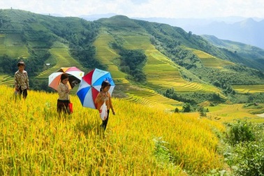 Tháo "nút thắt" cho tam nông - nhìn từ hành động quyết liệt xử lý nợ xấu của Agribank