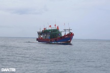 Tìm thấy ngư dân rơi từ tàu cá xuống biển 10 ngày trước