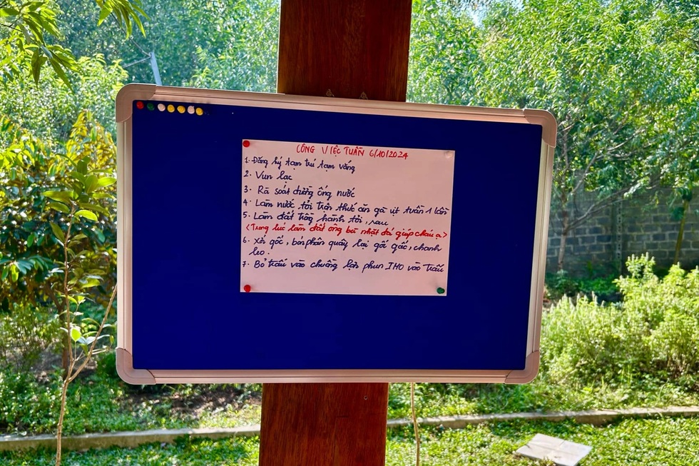 Sợ rau bẩn bụi mịn, vợ chồng ở Hà Nội mua 1.500m2 đất quê để nghỉ dưỡng - 7