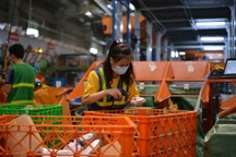 Telemas: Hóa giải "cơn ác mộng" cho các chủ shop khi đơn hàng quá tải vào dịp Tết