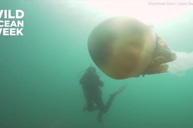 Choáng ngợp trước vẻ đẹp kỳ diệu của thiên nhiên