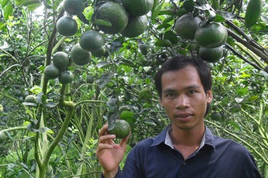 Tỷ phú cam sành xây dựng nông thôn mới