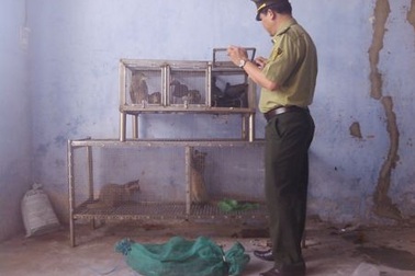 Công bố đường dây nóng bảo vệ động vật hoang dã