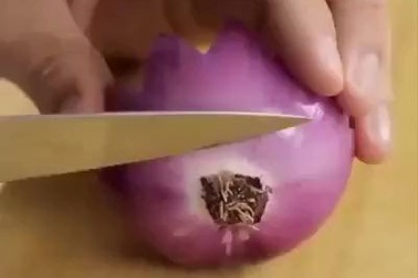 Clip tỉa hoa cực đẹp dành cho bà nội trợ