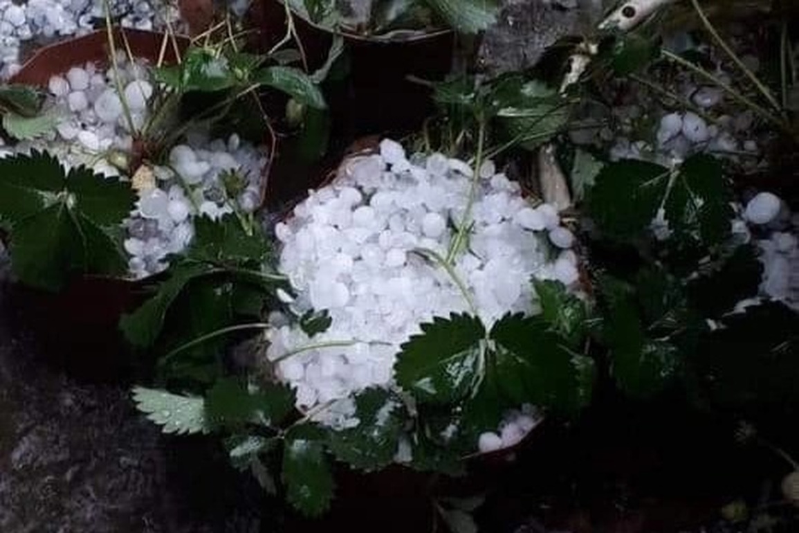 Mưa đá to như quả trứng gà, hàng chục mái nhà thủng lỗ chỗ - 4 Mưa đá to như quả trứng gà, hàng chục mái nhà thủng lỗ chỗ - 4