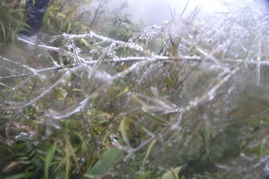 Sa Pa rét hơn 2 độ C, dự báo xuất hiện băng tuyết trên núi cao