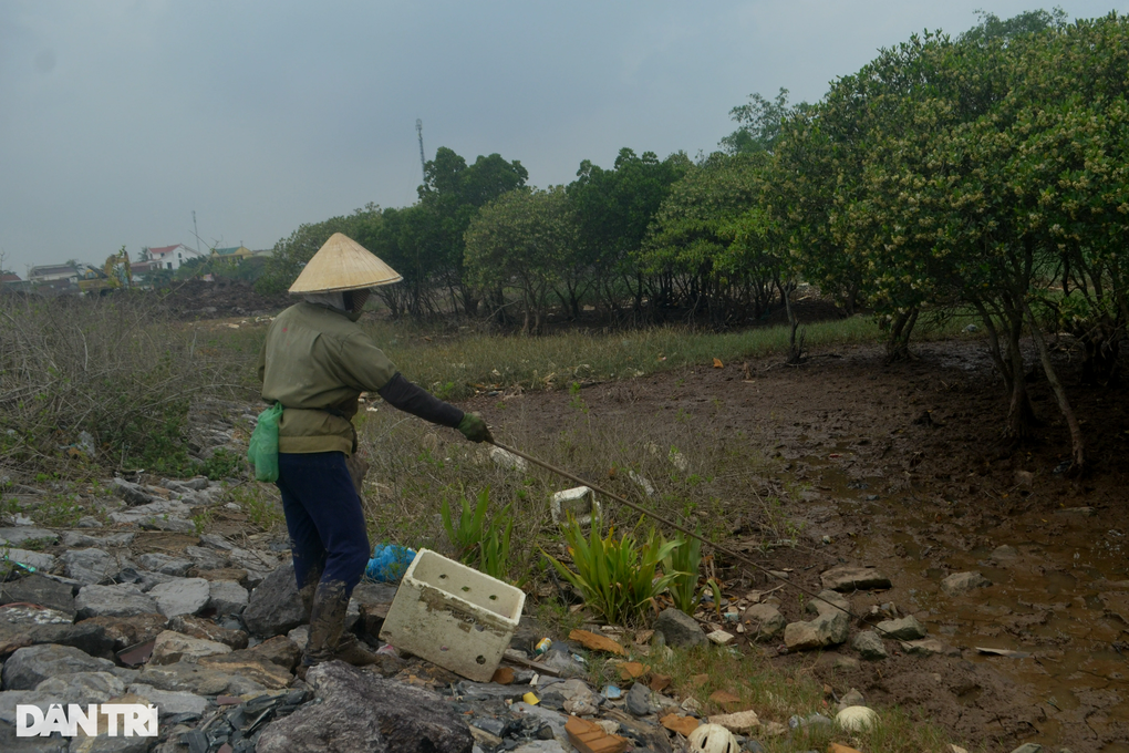 Săn con cực nhát giữa nắng nóng đổ lửa, nông dân thu vài trăm ngàn mỗi ngày - 1 Săn con cực nhát giữa nắng nóng đổ lửa, nông dân thu vài trăm ngàn mỗi ngày - 1