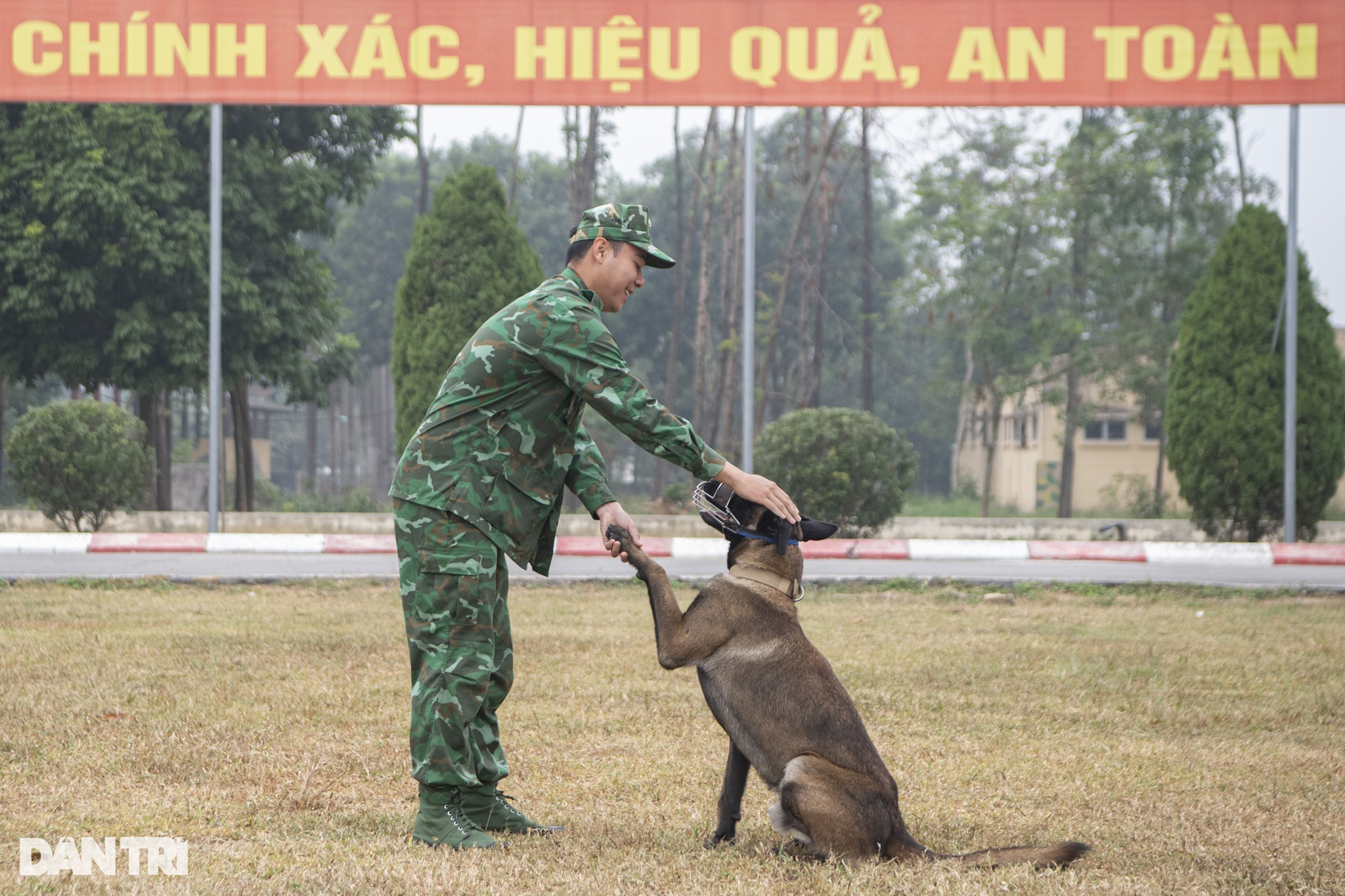 Quân khuyển trình diễn vượt vòng lửa, bắt tội phạm ở Triển lãm Quốc phòng - 4 Quân khuyển trình diễn vượt vòng lửa, bắt tội phạm ở Triển lãm Quốc phòng - 4