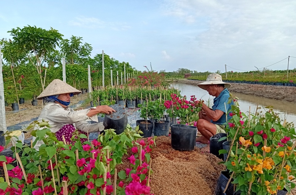 Mang sổ hộ nghèo hơn một thập kỷ, giờ mất sổ tôi mừng lắm - 3 Mang sổ hộ nghèo hơn một thập kỷ, giờ mất sổ tôi mừng lắm - 3