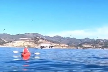 Thót tim tình huống hai cô gái đang chèo thuyền suýt bị cá voi nuốt chửng