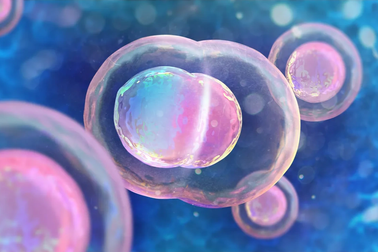 Vì sao chỉ một nguyên tử oxy duy nhất có thể "đảo ngược" giới tính của bạn?