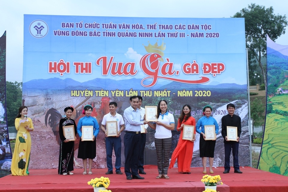 Về vùng cao Tiên Yên xem Hội thi tuyển chọn “Vua gà” - 9 Về vùng cao Tiên Yên xem Hội thi tuyển chọn “Vua gà” - 9
