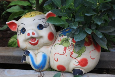 Heo đất “cõng” quất cảnh đón Tết Kỷ Hợi 2019