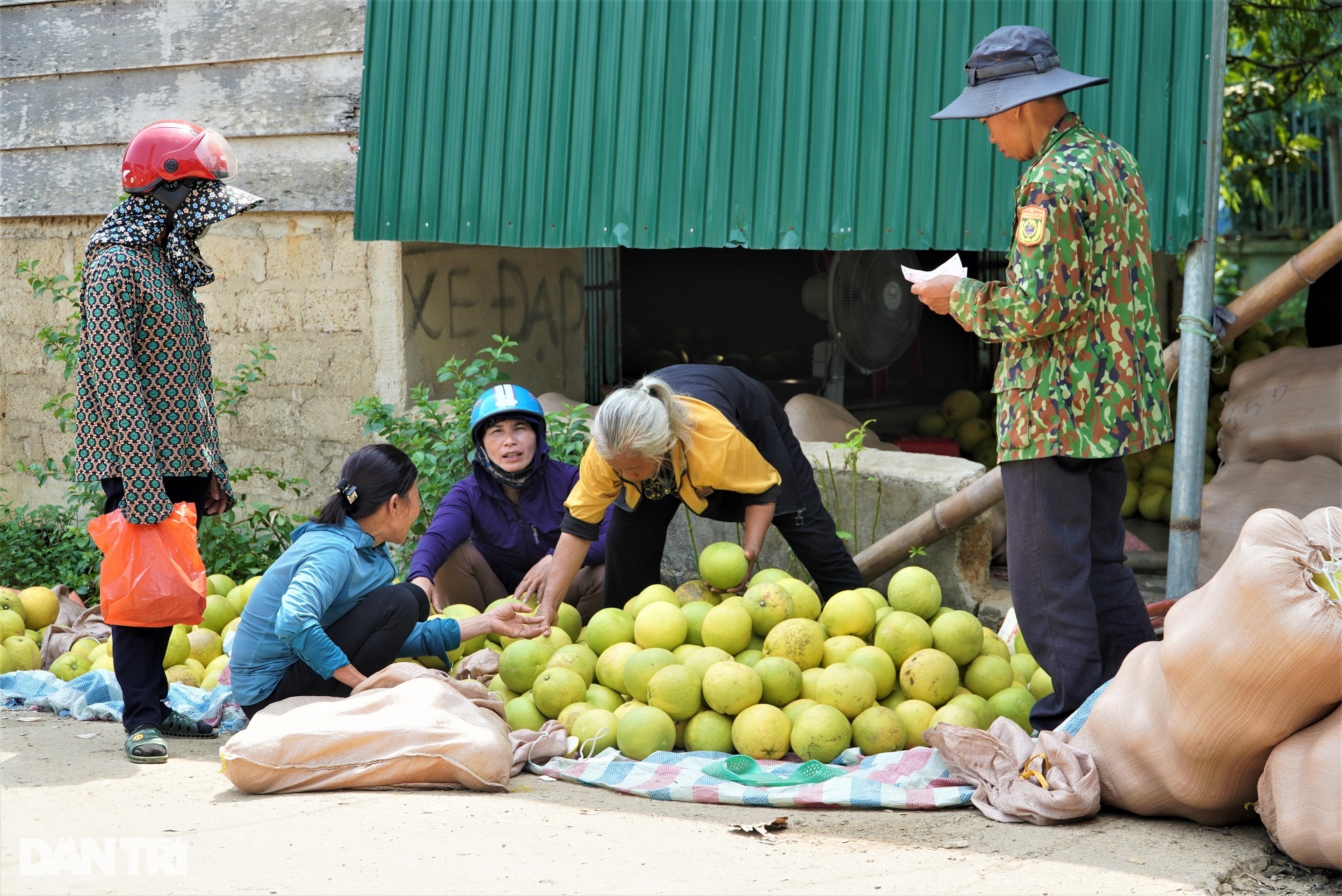 View - Phiên chợ có một không hai, chỉ bán "đệ nhất danh quả" | Báo Dân trí