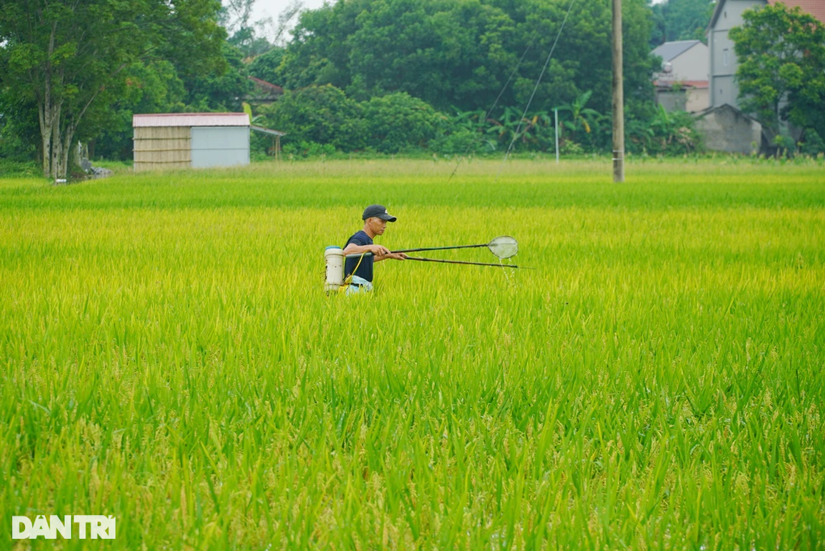 Nghề tranh thủ hốt bạc sau mưa lớn - 10 Nghề tranh thủ hốt bạc sau mưa lớn - 10