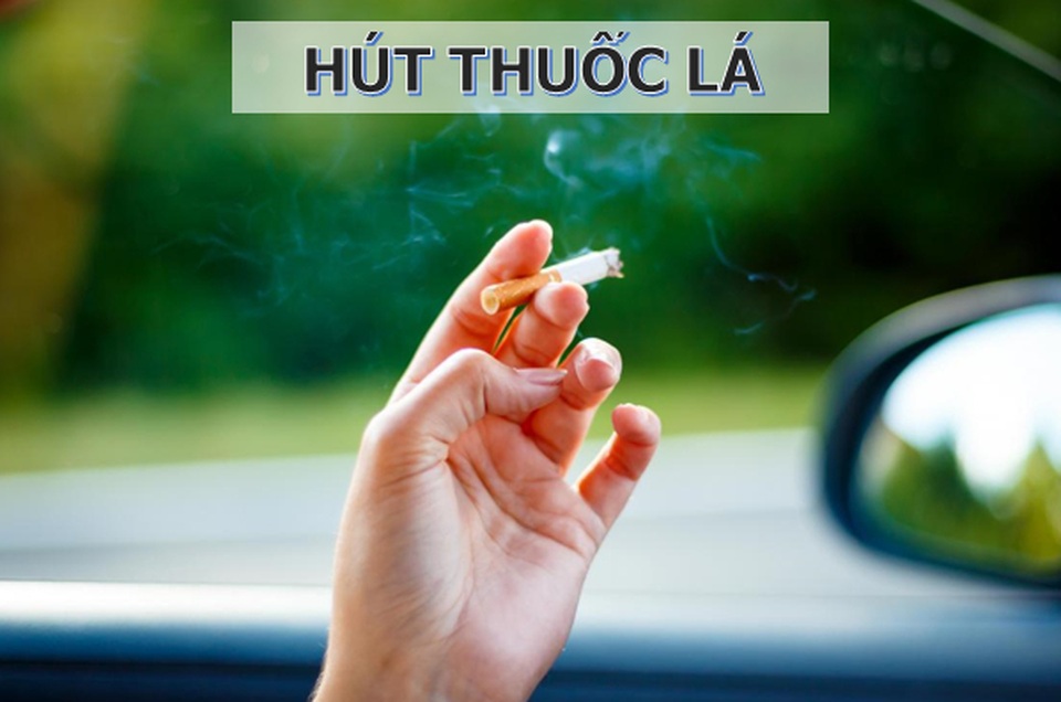 Nguy cơ mắc ung thư bàng quang từ chính nơi làm việc của bạn - 1 Nguy cơ mắc ung thư bàng quang từ chính nơi làm việc của bạn - 1