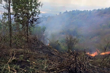 300 người vật lộn suốt 2 ngày dập lửa trên núi Chứa Chan